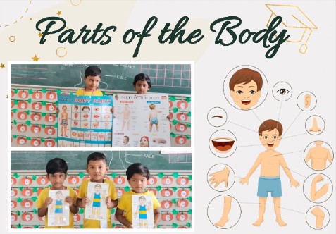 Our lower kindergarten teachers took a super engaging class on parts of the body.