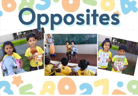 Today we organized an engaging activity to teach opposites to children.