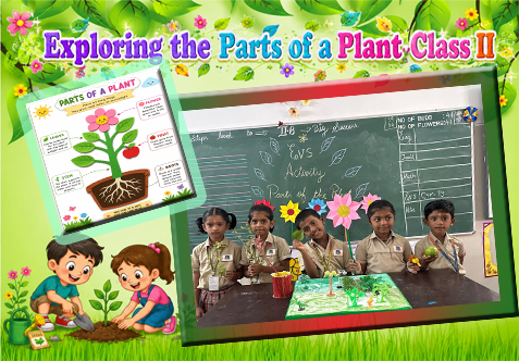 “Exploring the Parts of a Plant” is a fun and interactive activity that helps students discover the different parts of a plant and understand their important functions. Through hands-on learning and observation, students explore how roots, stems, leaves, flowers, and fruits work together to help a plant grow and thrive. The activity also encourages curiosity, communication, creativity, and confidence in young learners.
•	Boosted Communication: Enhanced public speaking skills and vocabulary.
•	Built Confidence: Developed self-assurance through active, creative participation.