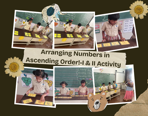 Our young learners recently took part in a fun, practical math activity to master the concept of number sequencing! Children were given 4 to 5 shuffled number flashcards in a mixed-up order. Their challenge was to look at the cards, compare the values, and arrange them in ascending order (from smallest to largest).